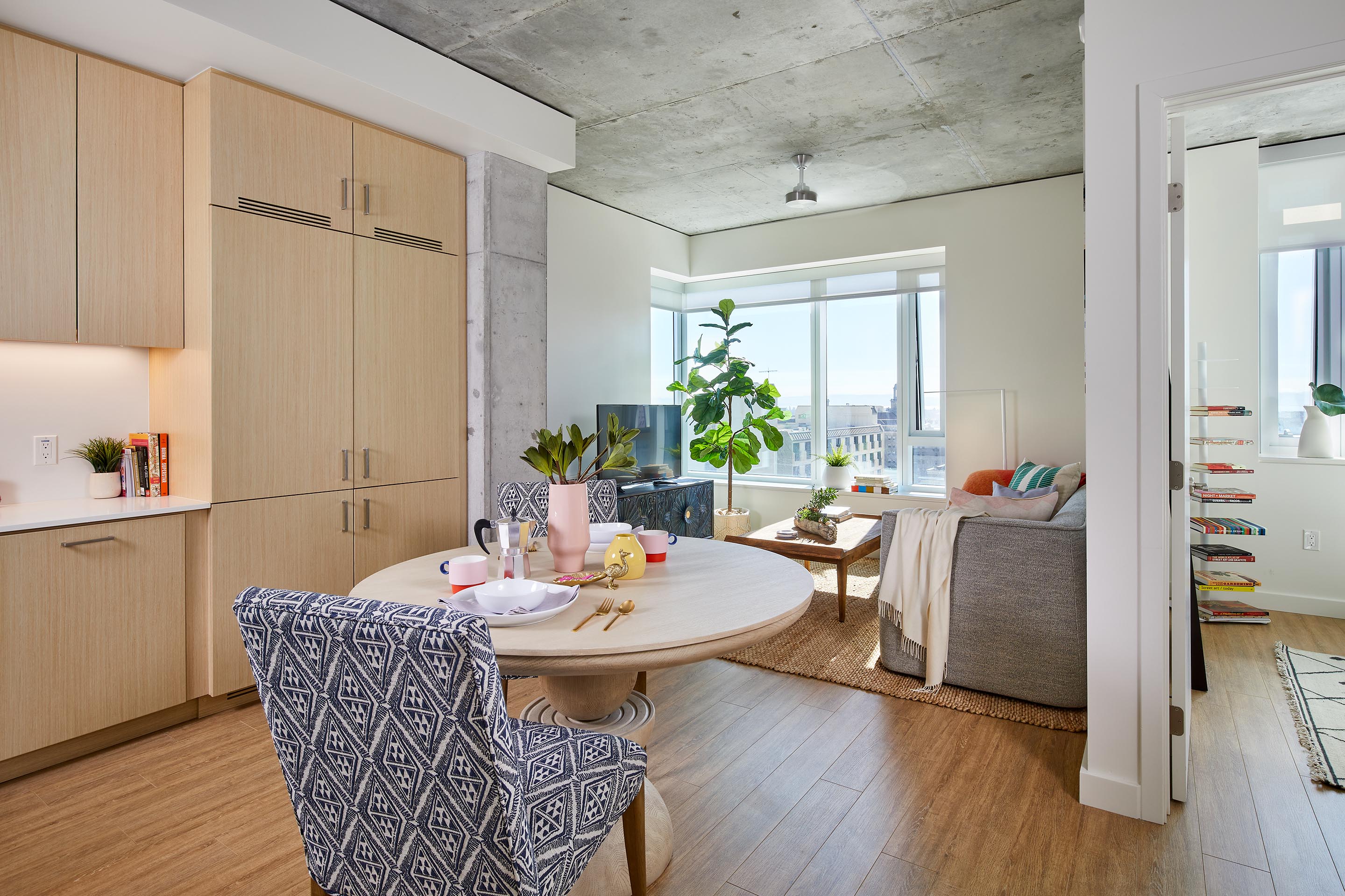 Apartment Living Room